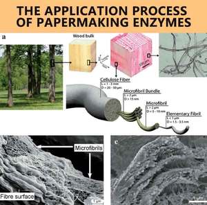 Sáng tạo Pitch kiểm soát hóa chất stickie phân tán đại lý cho cơ khí bột giấy - Product Image 4