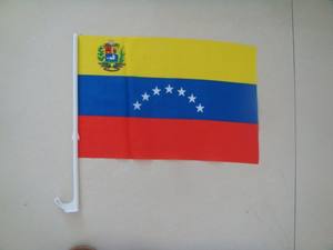 علم سيارة مخصص لدولة مصر مقاس 30*45 سم مصنوع من البوليستر - Product Image 3