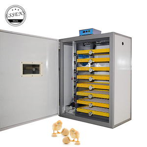 Máquina de incubar huevos multifuncional, 220V, 12V, buena calidad, venta al por mayor de fábrica - Product Image 1
