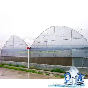 Hot bán thép đóng khung phim nhựa nhà kính cho rau hoa trồng trọt