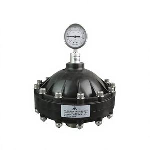 Amortiguador de Pulsaciones de Diafragma Anticorrosión para Bomba Dosificadora de Productos Químicos - Product Image 2