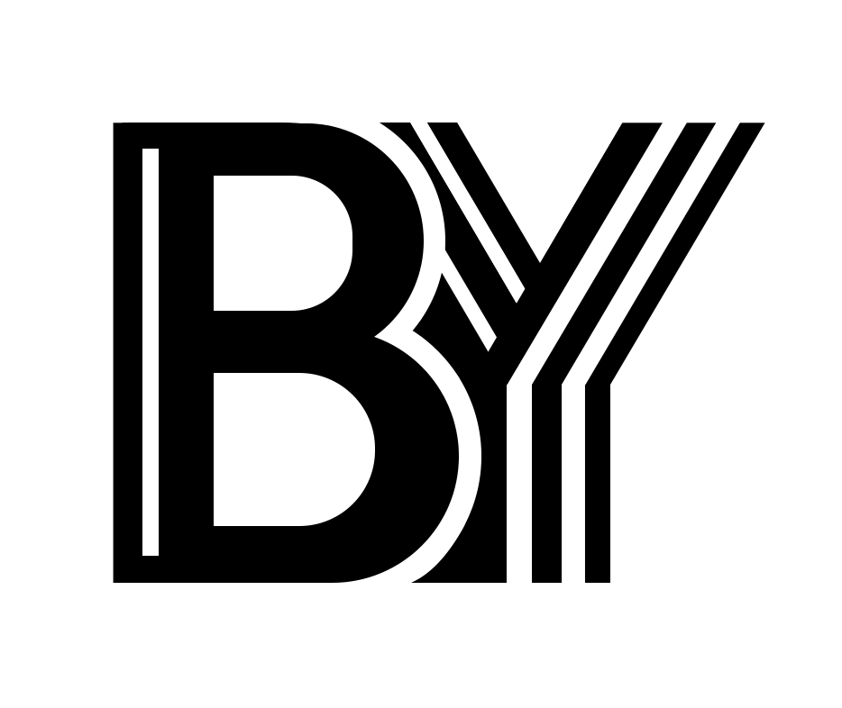 Guangzhou Boyue Trading Co., Ltd.