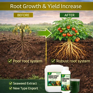 <span class=keywords><strong>Engrais</strong></span> liquide <span class=keywords><strong>professionnel</strong></span> à base d'extrait d'algues marines : Réduit le choc de transplantation et accélère l'enracinement pour les pépinières - Product Image 3