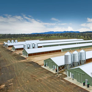 Tự động lớp gà lồng nhà cho gia cầm trang trại, mạ kẽm nhúng nóng, tùy chỉnh kích thước có sẵn, Vận chuyển nhanh - Product Image 3