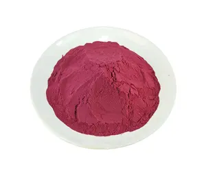 Rosa canina biologico in polvere polifenoli/Rosehips estratto di Estratto di Vitamina C di rosa canina
