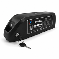 Batterie de remplacement pour vélo électrique, boîtier Hailong, pack de batteries au lithium, chargeur, serrure à clé, port USB
