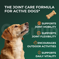 Complément alimentaire à mâcher pour animaux de compagnie, vente en gros OEM, pour le soin des articulations, avec glucosamine, chondroïtine, MSM, soutien des hanches et des articulations des chiens, comprimés à mâcher souples