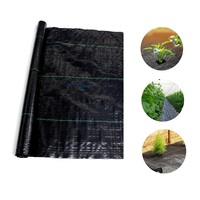 Couverture au sol de potager/paillis agricole/couverture au sol à haute densité de pp