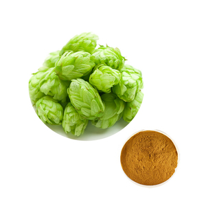 Hongda Cung cấp nhà máy <span class=keywords><strong>humulus</strong></span> <span class=keywords><strong>lupulus</strong></span> <span class=keywords><strong>Hops</strong></span> chiết xuất <span class=keywords><strong>Hops</strong></span> - Product Image 2