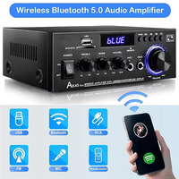 2 Kanallı HiFi USB Ses Amplifikatörü FM SD Mikrofon Girişi 90W Tepe Dijital 5.0 Yüksek Güçlü Amplifikatör Metal, Ev, Araba, Karaoke için
