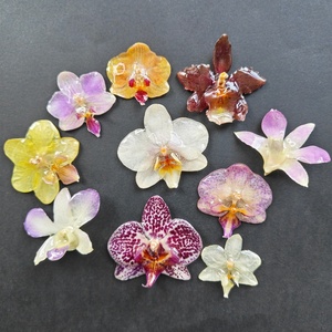 Collana con ciondolo a forma di fiore di orchidea essiccato e orecchini in resina epossidica naturale a forma di farfalla orchidea per decorazioni di gioielli - Product Image 1