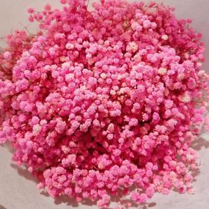 500g Fiori Secchi Naturali Gypsophila Preservata Bouquet all'Ingrosso Personalizzabile per Decorazioni Ufficio Feste Ghirlande - Product Image 3