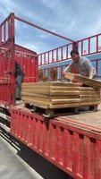 Support de plante d'intérieur simple en blanc à assembler avec un design multi-niveaux solide et stable et des lumières de croissance pour une utilisation en jardin