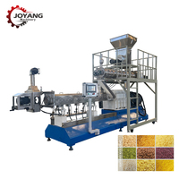 Ligne de production automatique de gâteaux de riz, ligne de traitement de riz enrichi, extrudeuse à double vis, prix usine