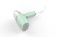 Vaporizador de Ropa Portátil Plegable para Viajes y Hogar, Eliminador de Arrugas de Ropa de Doble Voltaje, Cepillo de Vapor Compacto