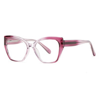 TYSD-LS008 Nouvelles Lunettes Optiques Œil de Chat TR+CP Populaires en Stock Prêt à l'emploi Montures Unisexe Anti-lumière Bleue Durables avec Étui pour Extérieur
