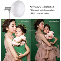 Accessoires pour studio photo 65cm 85cm Lanterne Softbox avec Bowens Mount Studio Light Diffuser Soft Box Photographie Éclairage