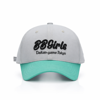 Casquette de baseball personnalisée brodée en 3D, bicolore, en sergé, avec lettres, ajustable, unisexe, en coton de luxe, vente en gros OEM