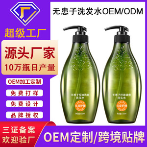 Shampooing Liquide Sapindus Mukorossi Contrôle Sébum Pour Cheveux Gras Unisexe Volumisant Anti-Pelliculaire Parfum Rafraîchissant OEM - Product Image 5