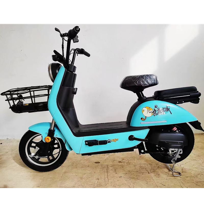 New Explosive 48V Electric Bicycle Small