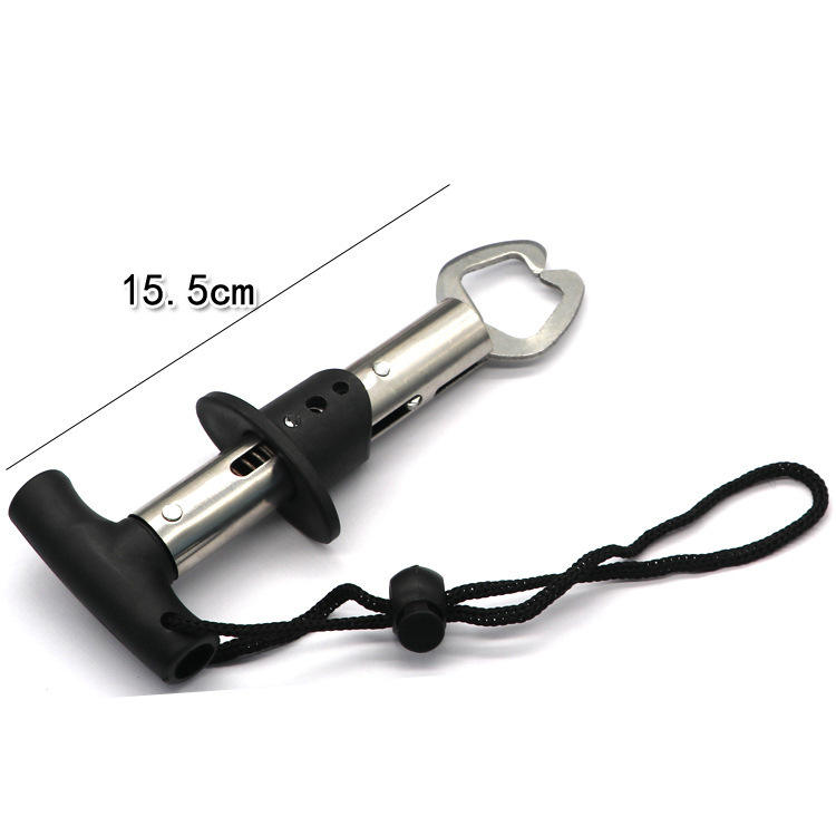 รูปตัว T