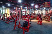 2023 nouveau Design Strongway Fitness Commercial Gym équipement de Fitness marteau plaqué chargé Machine assis Biceps Curl