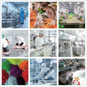 Máquina para Hacer Hielo en Escamas de Gran Producción (3-5T), Ampliamente Utilizada en la Industria Alimentaria - Product Image 6