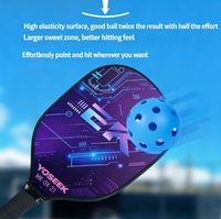 Ensemble de raquettes de pickleball portables et durables pour l'entraînement en extérieur, raquettes de pickleball légères pour les joueurs intermédiaires et avancés