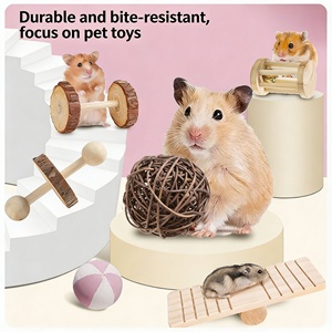 Ensemble de jouets pratiques pour petits animaux, écologiques, durables, naturels, non toxiques, jouets de dentition pour lapin, hamster, perroquet, fournitures pour animaux de compagnie - Product Image 1