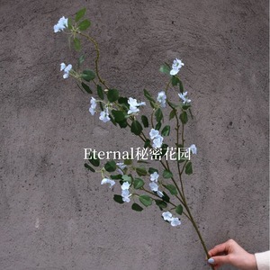 Plante Artificielle Secret Garden, Branche Unique, Fleurs en Soie Plastique, Décoration Mariage et Maison, Vert Blanc Bleu, Style Rustique - Product Image 4