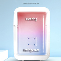 Mini refrigerador portátil de 4L con espejo de maquillaje y luz LED, enfriador eléctrico para camping, nevera de 12V para caravanas.