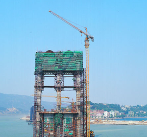 Grúa <span class=keywords><strong>Torre</strong></span> de Plataforma Plana de Alta Eficiencia para Construcción, Usada en 2020 para MCT200, Motor de Caja de Cambios de 10 Toneladas y Rodamiento - Product Image 3