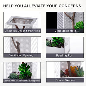 Carcasa acrílica personalizada de alta calidad para insectos y reptiles, caja pequeña transpirable para cría de <span class=keywords><strong>tarántulas</strong></span> y arañas saltadoras - Product Image 3