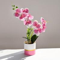 Plante artificielle Phalaenopsis à toucher réel, double branche, orchidée papillon artificielle en pot, bonsaï avec pot