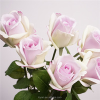 Bruidsdecoratie Real Touch Rozen Kunstbloemen Enkel Stuks Witte Rozen Latex Real Touch Bloem Kunstbloem voor Bruiloften