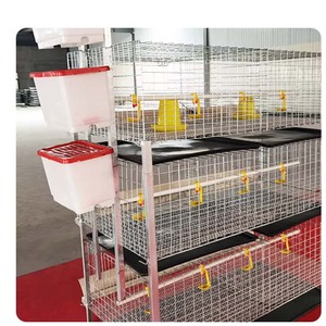 Jaula <span class=keywords><strong>de</strong></span> pollo escalonada <span class=keywords><strong>de</strong></span> <span class=keywords><strong>acero</strong></span> tipo H completamente automática para avicultura, capa <span class=keywords><strong>de</strong></span> huevo a presión natural, equipo <span class=keywords><strong>de</strong></span> valla <span class=keywords><strong>de</strong></span> granja - Product Image 2