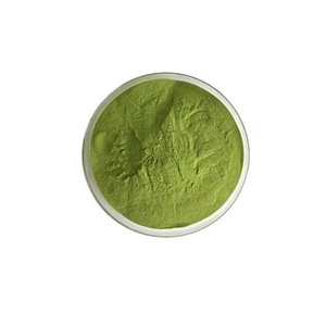 High Quality Nature Moringa Extract Powder Organic Moringa Powder Whosale Herbal Supplement - Product Image 4