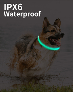 <span class=keywords><strong>Collar</strong></span> impermeable recargable para perro, <span class=keywords><strong>collar</strong></span> elegante de lujo para mascotas con iluminación para caminar de noche, collares de perro iluminados de seguridad - Product Image 6