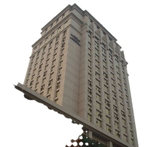 Façade de bâtiment en granit poli sur mesure, design contemporain durable pour l'installation murale extérieure - Product Image 1