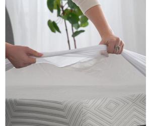 Rệp và bụi Mite và chất gây dị ứng bằng chứng Nữ Hoàng Vinyl nệm hoặc hộp mùa xuân Bìa - Product Image 5