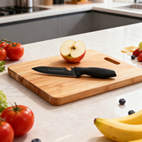Ensemble de couteaux de chef en acier inoxydable noir Chef Star 3 pièces, couteaux Santoku et à éplucher, revêtement antiadhésif, poignées ambidextres