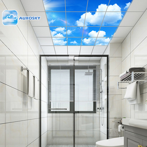 Auxosky Phẳng Vuông Chăm Sóc Sức Khỏe Chiếu Sáng Lựa Chọn Bởi Châu Âu 1000 + Nha Khoa Phòng Khám Không Có Sự Can thiệp Màu Xanh LED Bầu Trời Trần Ánh Sáng Bảng Điều Chỉnh - Product Image 6