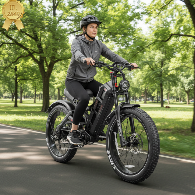 USA Warehouse 48V Dual Motor Steel Frame Electric Mountain Bike with Fat Tire Hybrid Road Dirt E-Bike