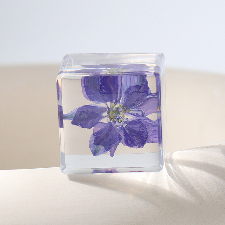 Delphinium