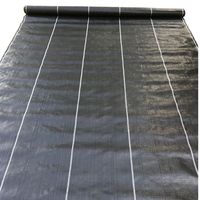 Toile de paillage PP anti-mauvaises herbes, tissu tissé pour couverture du sol, idéale pour l'agriculture, la ferme, le jardin, la pépinière, taille personnalisée