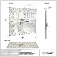 Plaque chauffante électrique durable brasée sous vide pour usage industriel haute température 700*800MM OEM