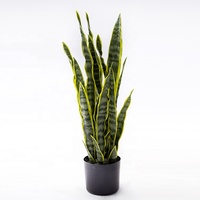 Plantes artificielles en forme de serpent avec Pot en plastique noir, sanfilaire pour décoration intérieure et extérieure du bureau