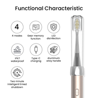 Brosse à dents électrique en aluminium approuvée par la FDA, fournisseur de brosses à dents électriques OEM/ODM, logo personnalisé