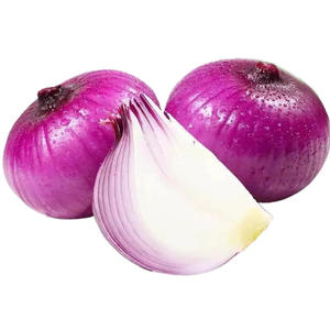 Hàng bán chạy, chất lượng cao, ngon, tự nhiên, tốt cho sức khỏe, hành đỏ cắt lát đông lạnh IQF - Product Image 3