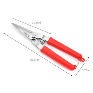 Tijeras de Podar de Acero Inoxidable para Jardín, Corte Recto, para Árboles Frutales, con Mango de Plástico - Product Image 1